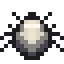 bone mite