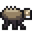 carapace brute