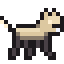 pack leader